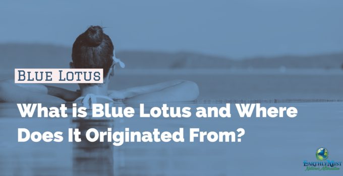 Blue Lotus Flower